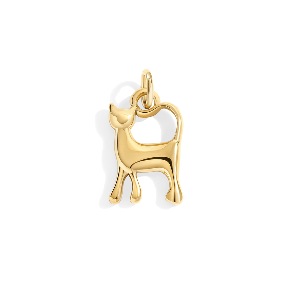 Cat Charm