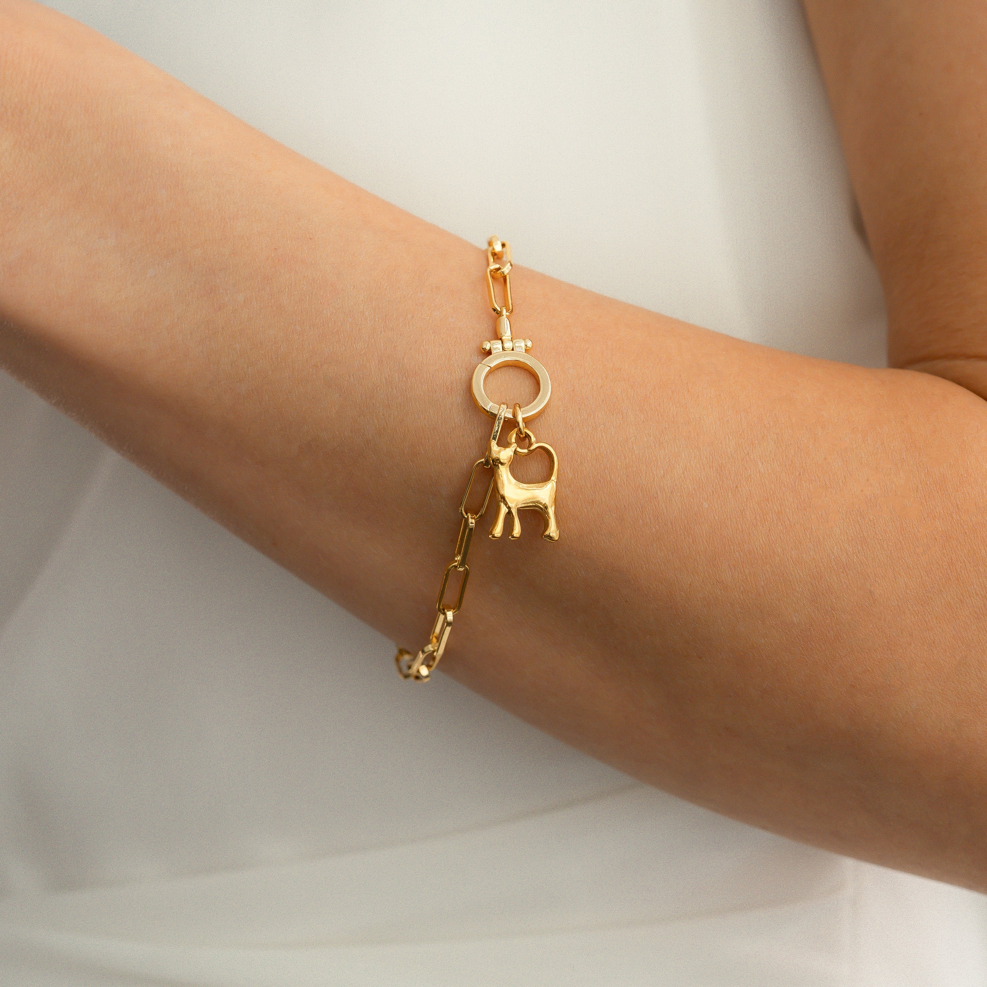 Cat Charm