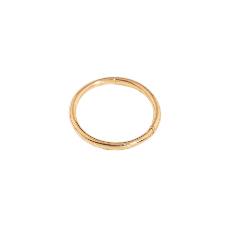 Classic Cartilage Hoop Earrings | 16g