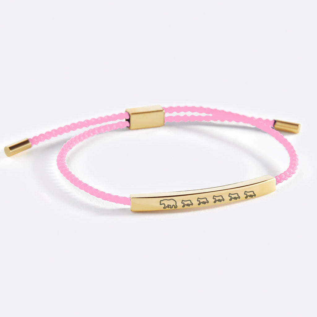 Mama Bear & Her Baby Bears Inspire Bracelet
