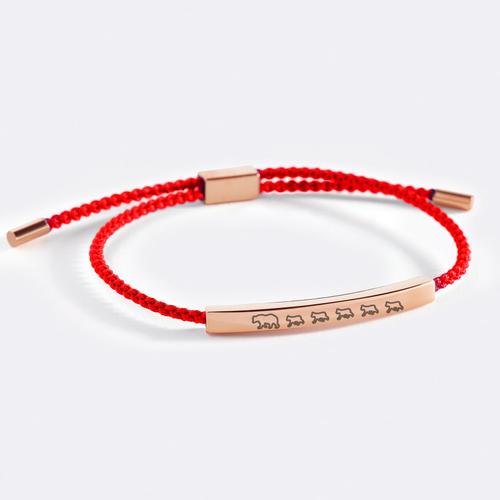Mama Bear & Her Baby Bears Inspire Bracelet