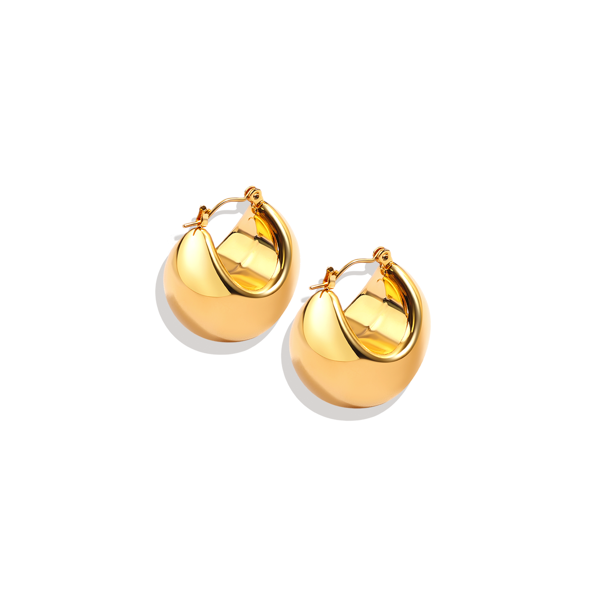 Sculpted Hoop Earrings